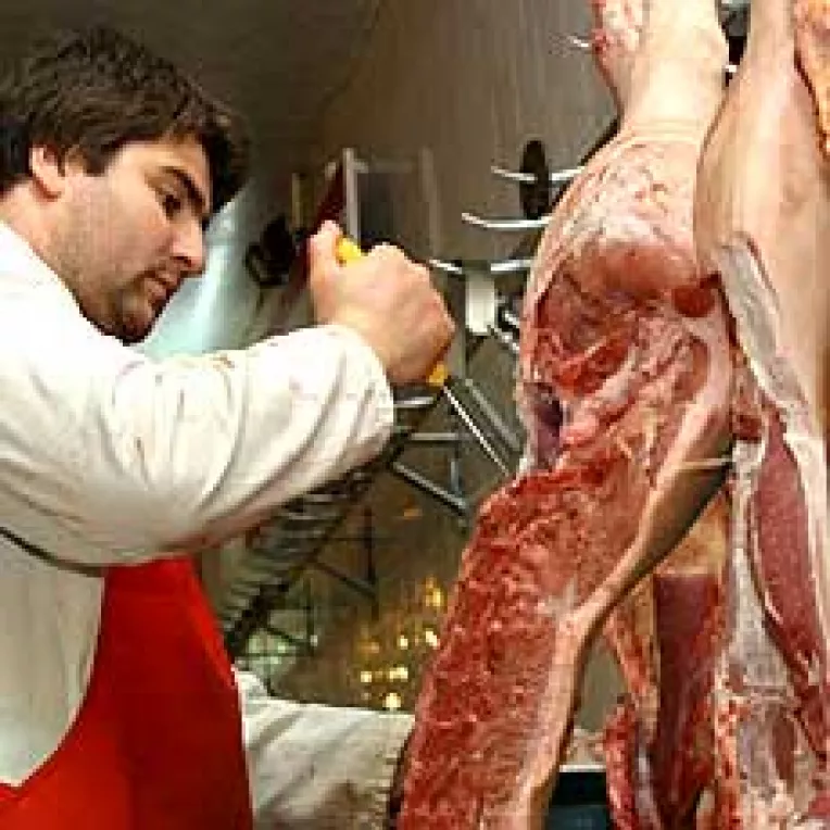 2006 da startul la falimente in lant pentru procesatorii de carne