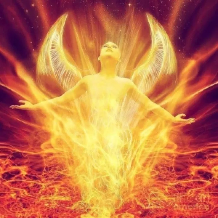 2015: Anul Adevarului, Frumosului si Binelui