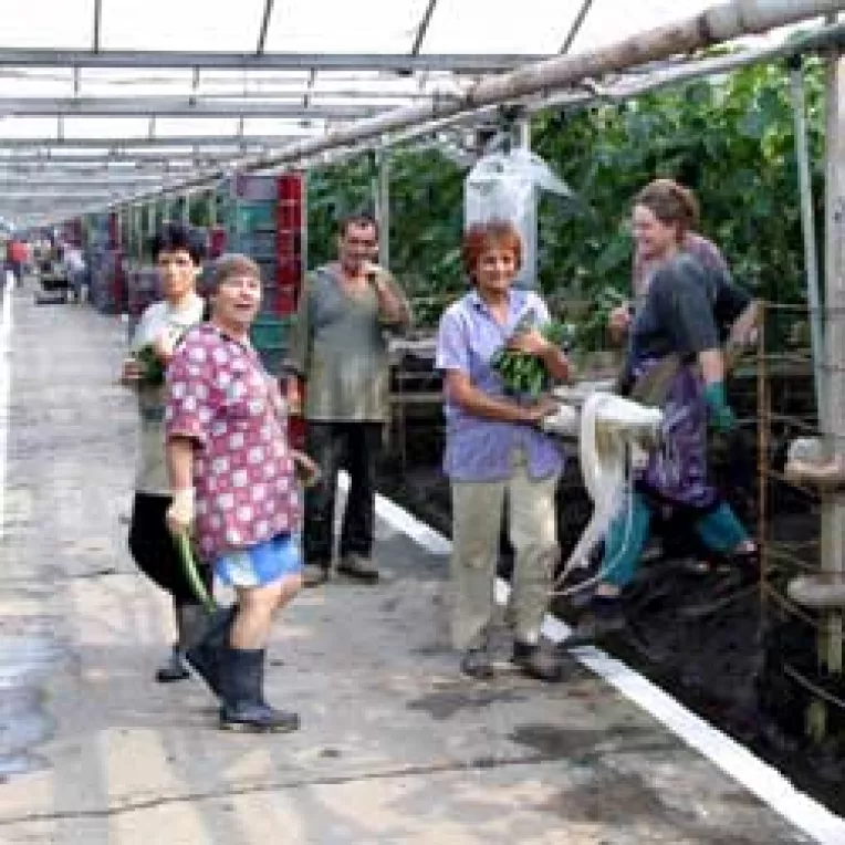 3,5 miliarde de euro pentru modernizarea fermelor agricole