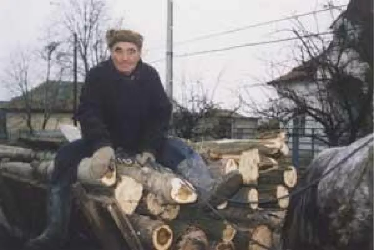 30.000 de doljeni risca amenzi de cate 50 de milioane de lei. Padurile le vin de hac proprietarilor