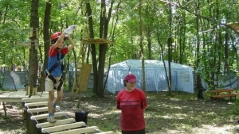 35 de milioane de lei pentru o Romanie mai verde