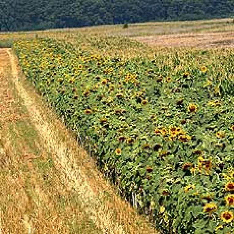 60.000 de proprietari, ramasi pe dinafara retrocedarii