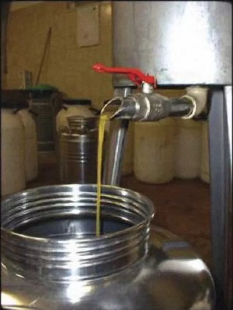 70% din presele de ulei vor disparea