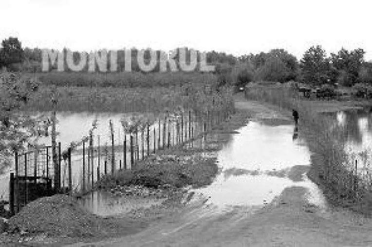 80 ha de teren agricol, afectate de precipitatii
