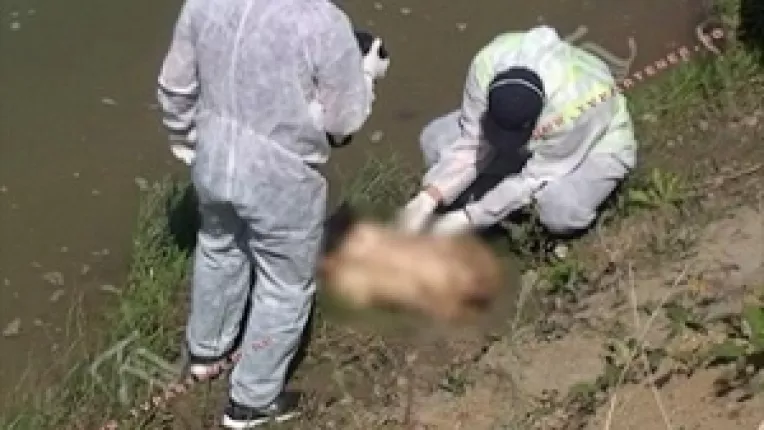 A fost arestat un barbat suspectat ca a transat-o pe Iulia Neblea