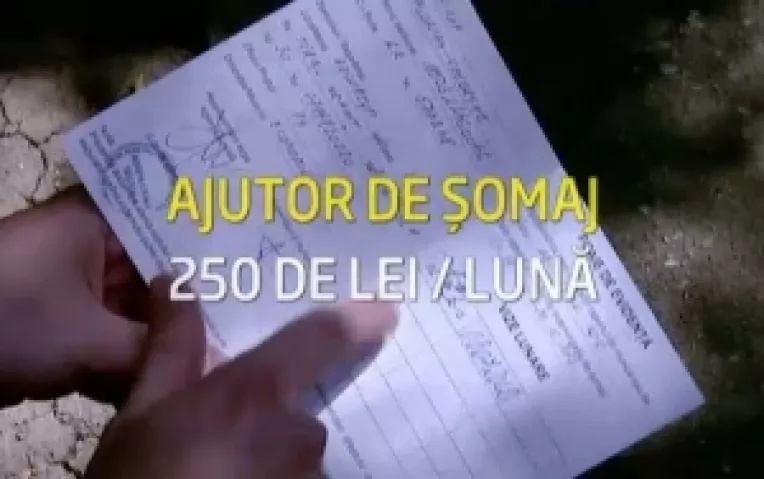 Absolventii institutiilor de invatamant din Romania beneficiaza de o indemnizatie de somaj de 250 de lei lunar