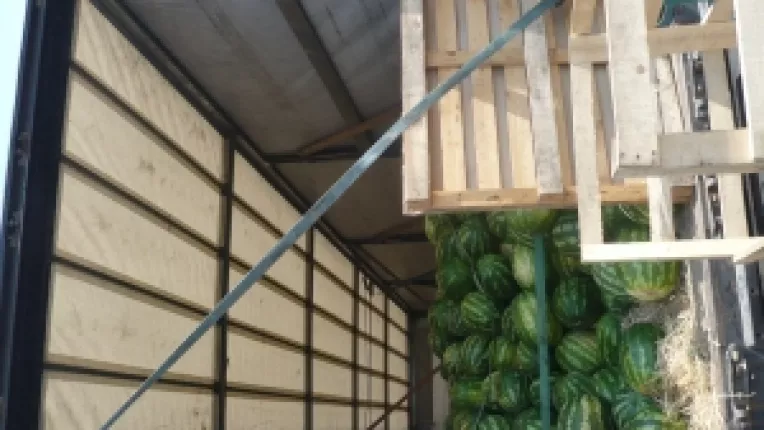 Actiune evaziune fiscala