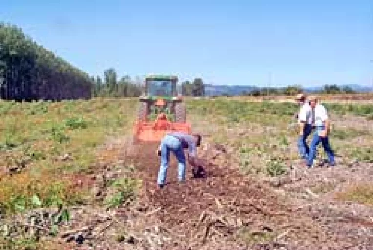 Agricultorii nu se inghesuie la asigurari