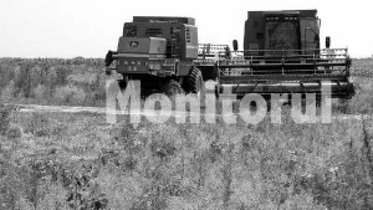 Agricultura de subzistenta