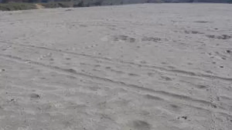 Agricultura doljeana, la mana ploii