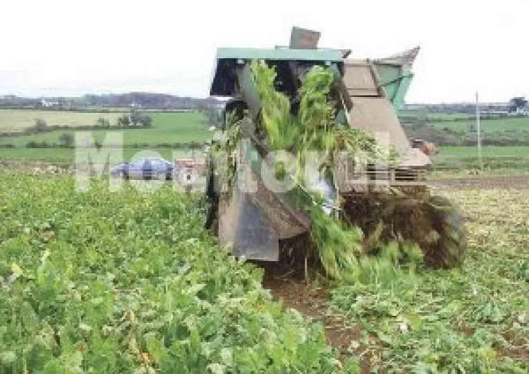 Ajutoare financiare in (de)favoarea producatorilor