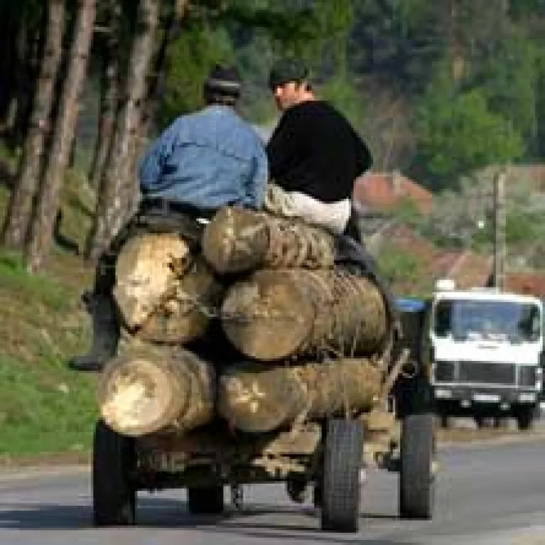 Amenzi de pana la 3.000 de lei noi pentru afacerile ilegale cu lemn