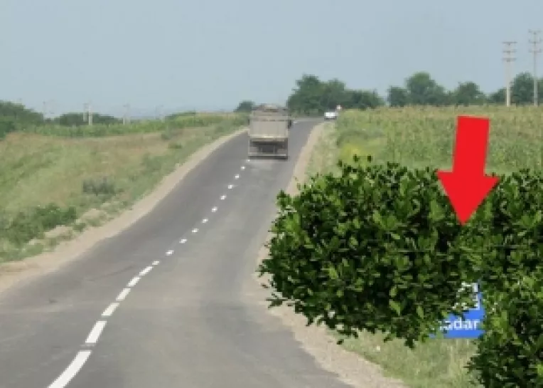 AmosNews: Saptamana pe scurt