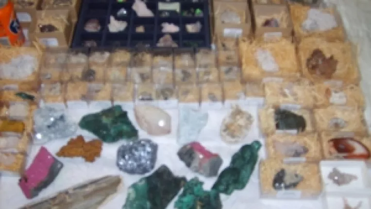 Ana Capaneata: "Salroz si lemn pietrificat, la Muzeul National de Geologie!"