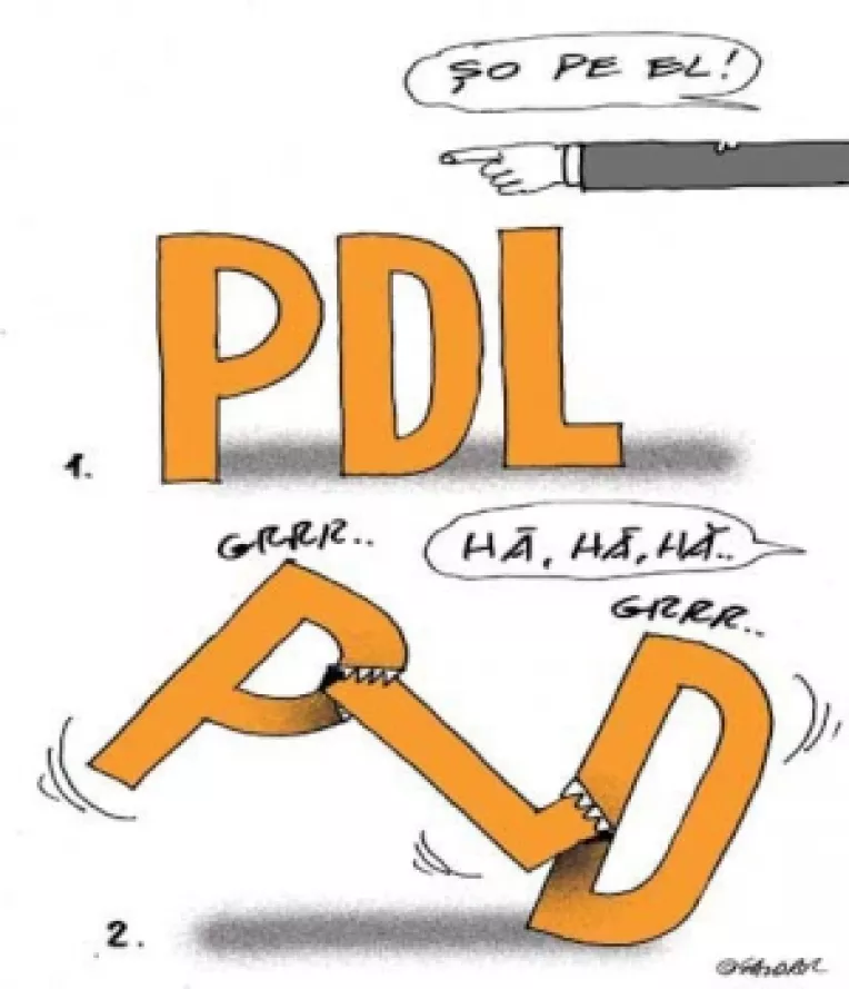 Analiza: Disolutia PDL 