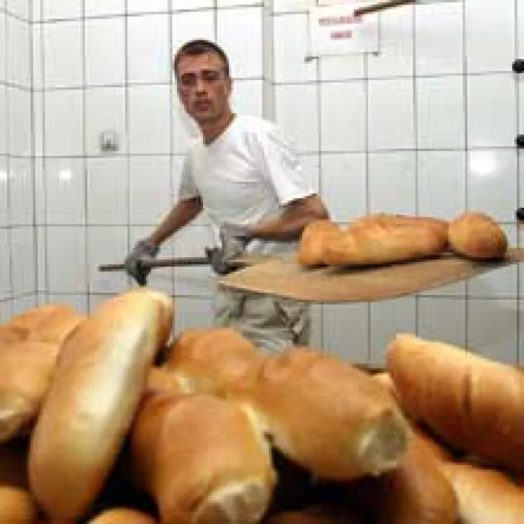 Anul acesta, seceta va majora pretul painii