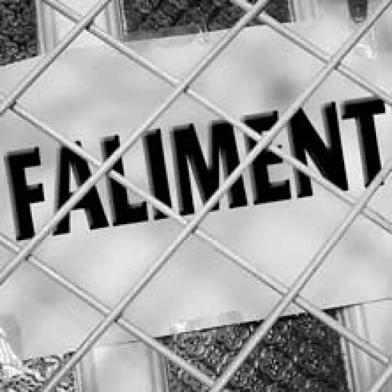 Anul trecut, numarul falimentelor a crescut cu peste 60%