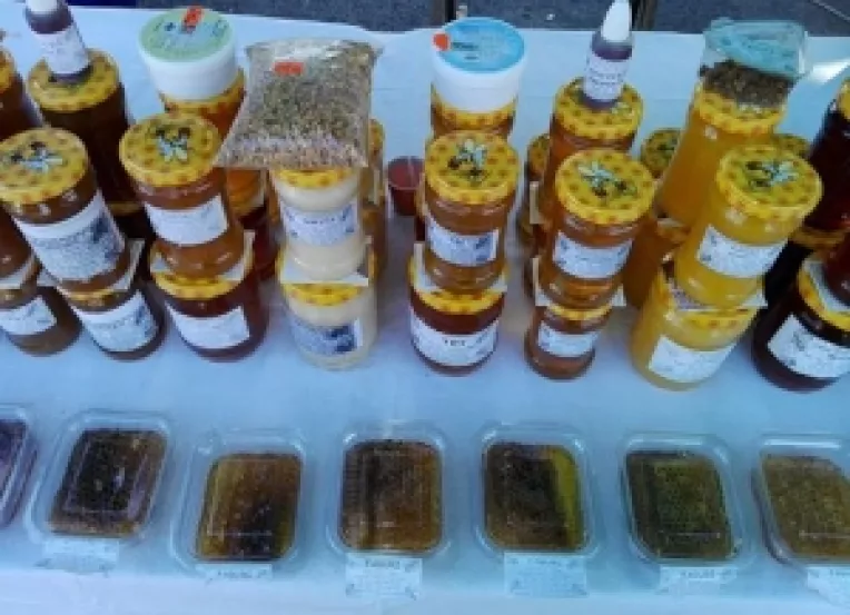 Apicultorii Vasile si Elena Stan: Mierea de salcam este benefica pentru tuse si pentru plamani!