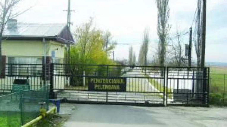 Armaghedon de puscarie