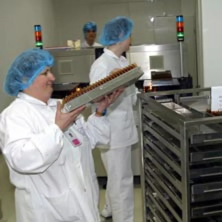 Aspirinele si algocalminele romanesti au fost preluate de „cehii“ americani