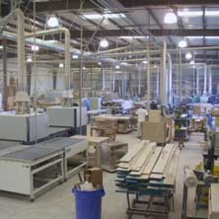 AVAS vrea sa privatizeze 17 mari companii in 2006