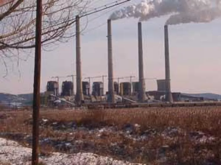 "Baietii destepti", reclamati la guvern