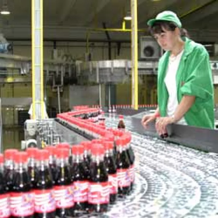 Balmajelile vinovate ale unui ziarist mincinos