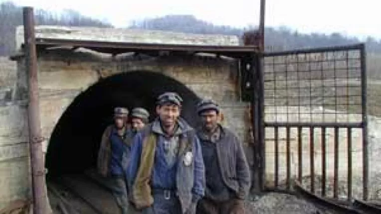 Bani ingropati in steril