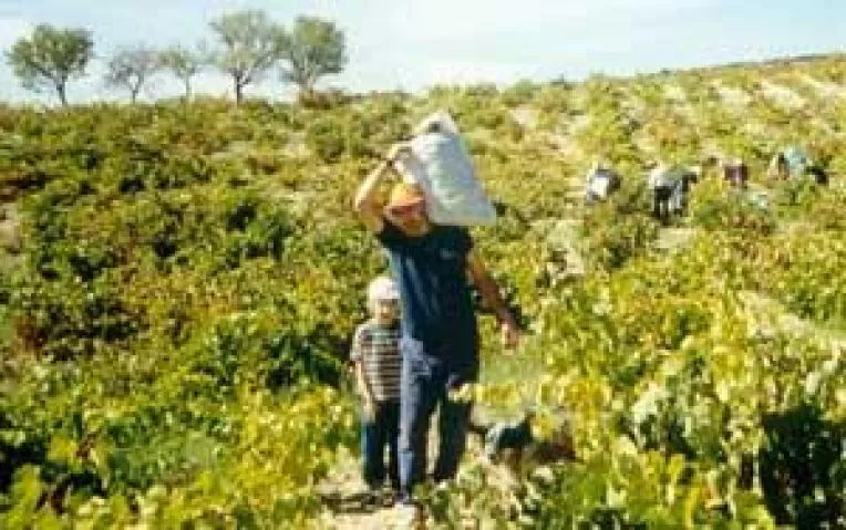 Bani pentru afacerile din mediul rural. Statul incurajeaza viata la tara