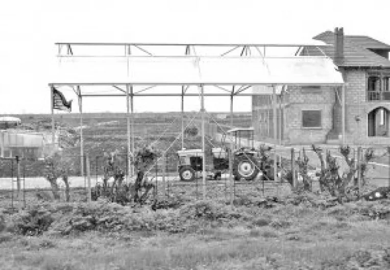   Bani pentru idei destepte