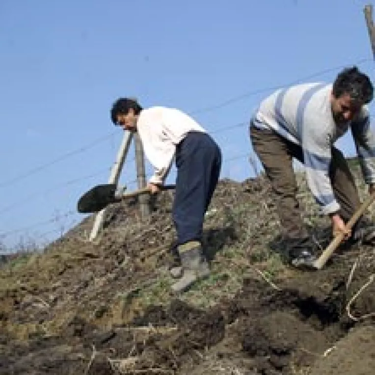 Banii europeni urca la munte