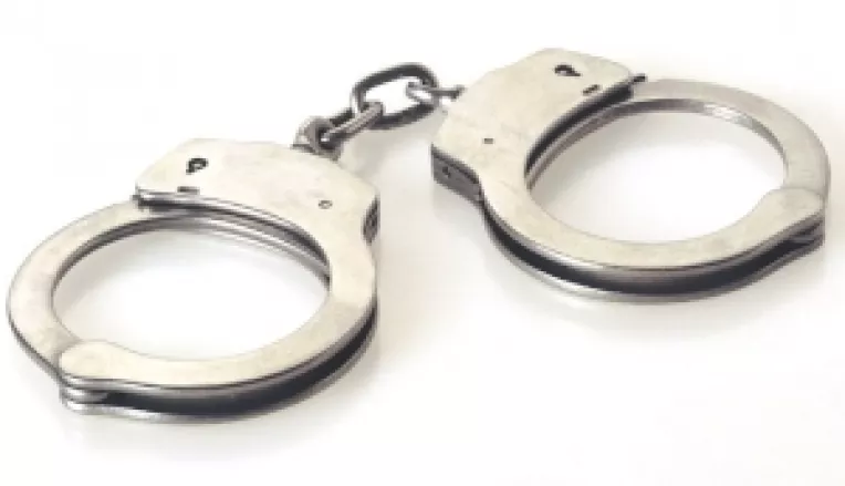 Basescu zdrangane catusele