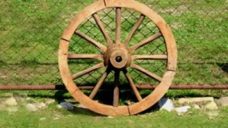 Bete in roate: Guvernul este vinovat de starea economiei romanesti