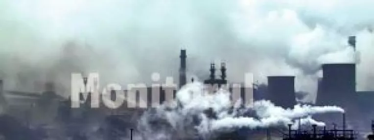 Bila neagra pentru Combinat