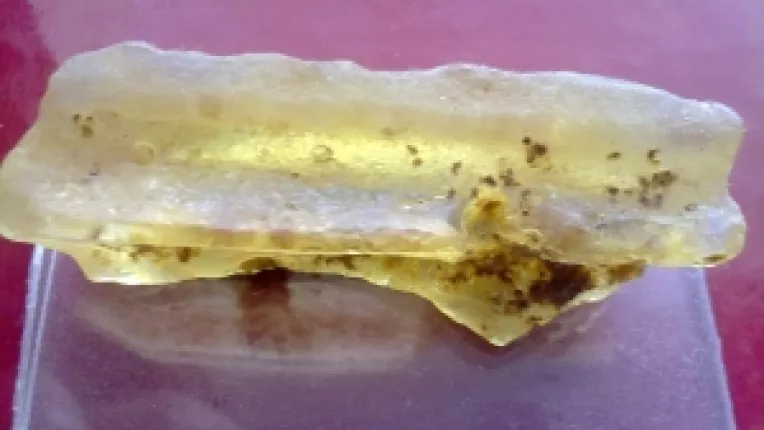 Brazilia, bogatie si culoare