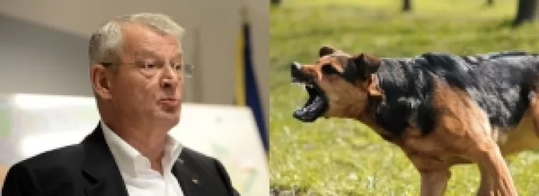 Bucuresti : Sorin Oprescu a anuntat ca va organiza un referendum in care cetatenii vor fi consultati daca doresc eutanasierea cainilor maidanezi 