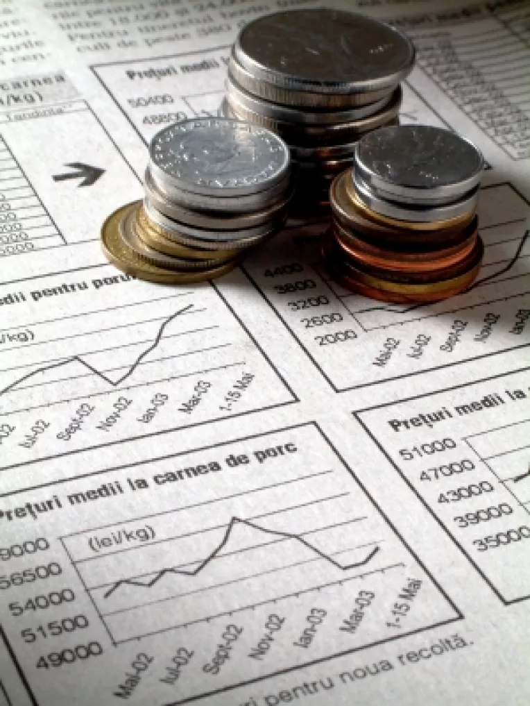 Caderea motiunii trage leul in jos