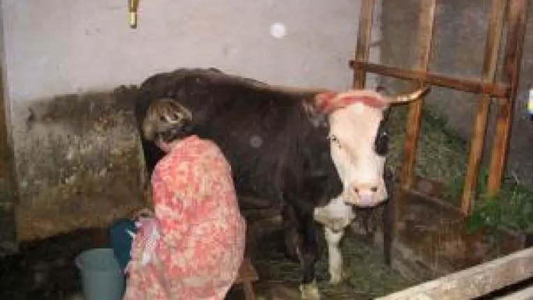 Caietul Fermierului, noua inventie a lui Remes