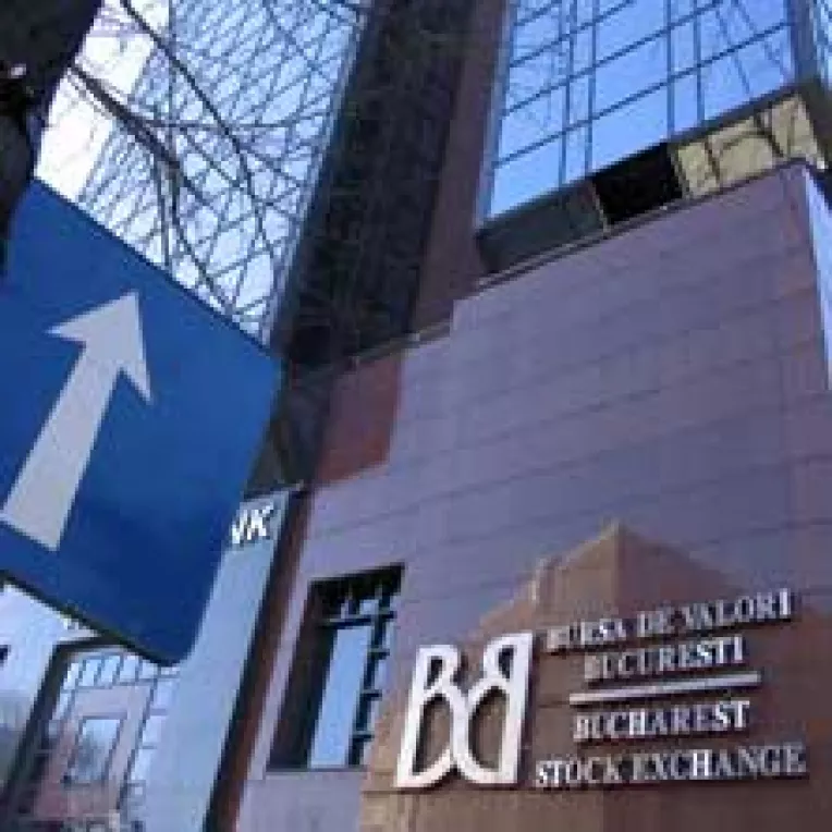 "Cainele" si "catelul", la intrecere pe piata financiara