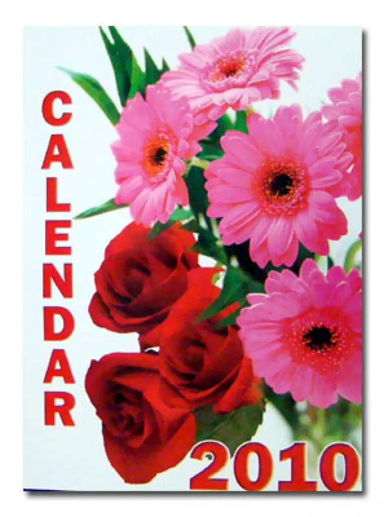 Calendarul sa si-l puna Voiculescu pe perete!