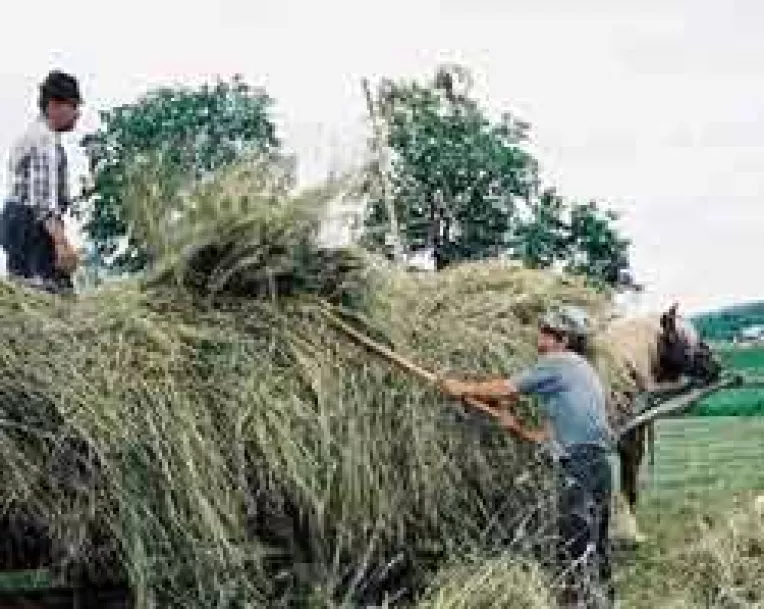 Caravana "Fermier in Europa", la final