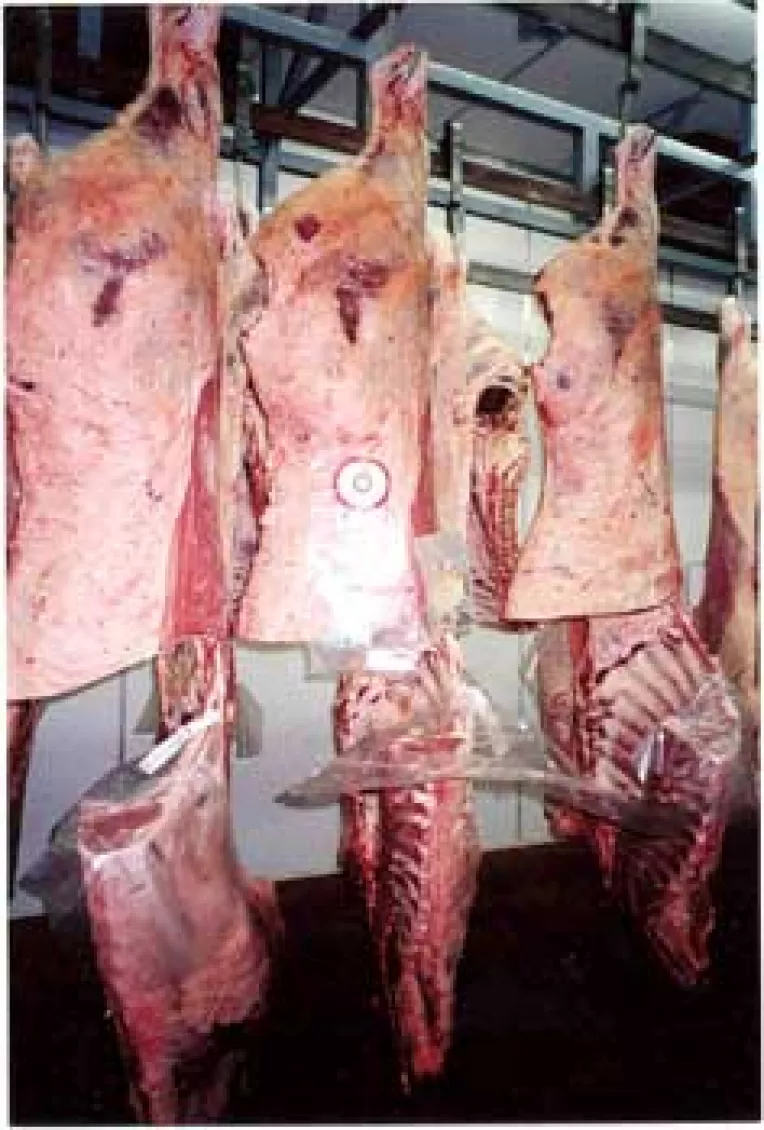 Carnea de porc, laptele si zaharul se vor scumpi cu 10%