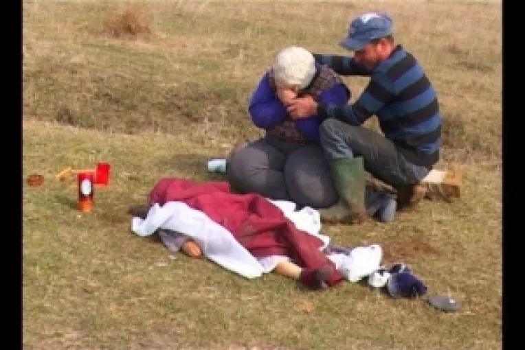 Caz cutremurator in Timis: Cainii i-au mancat penisul si testiculele unui baietel 