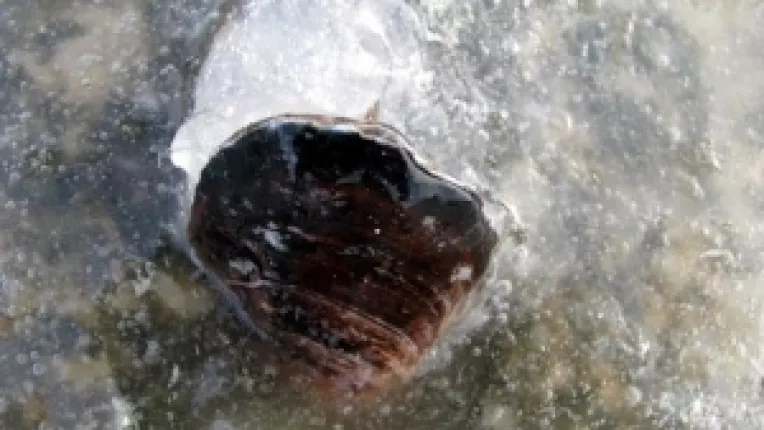 Ce a patit o tanara care vorbea pe strada la telefonul mobil