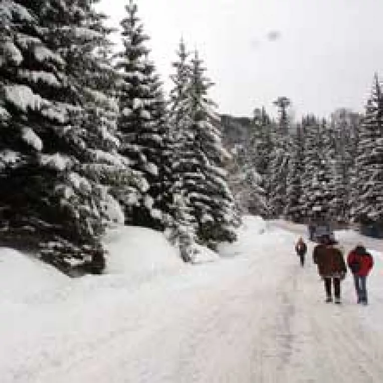 Ce trebuie sa stim atunci cand dorim sa plecam in concediu