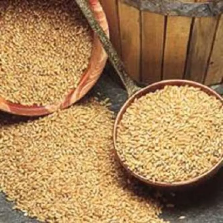 Cea mai mica productie de grau de dupa 1940
