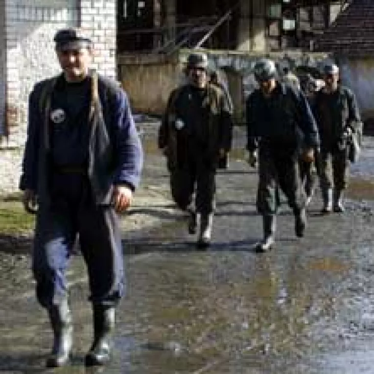 Cincinalul lui Seres