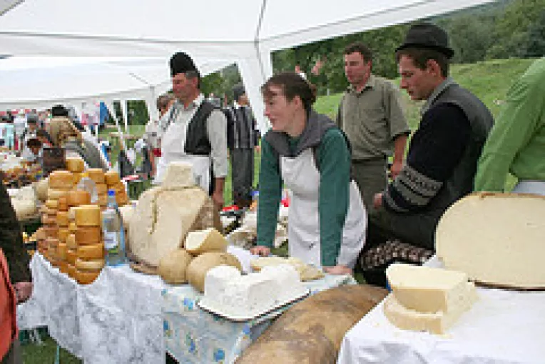 Ciobanii isi pot vinde branza in tara doar daca stana dispune de apa potabila