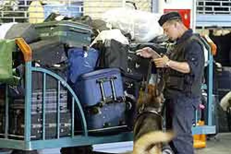 Companiile aeriene, falimentate de bagaje