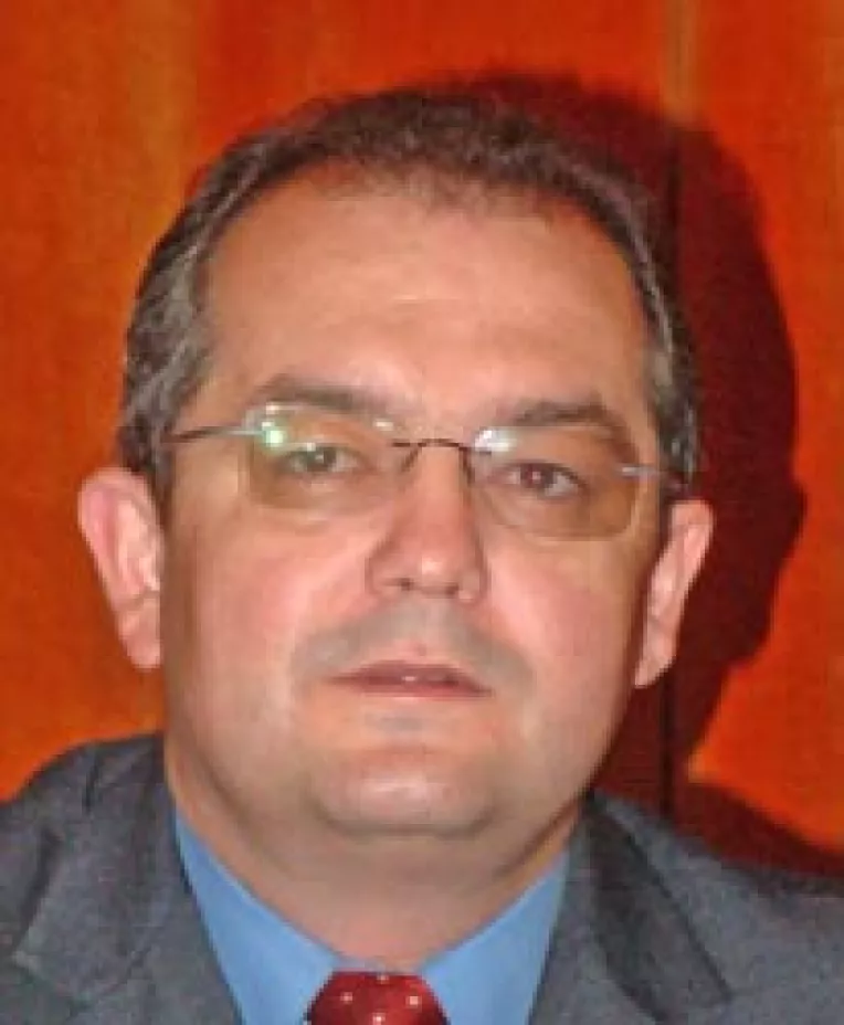 Constitutia, putin cam imperfecta